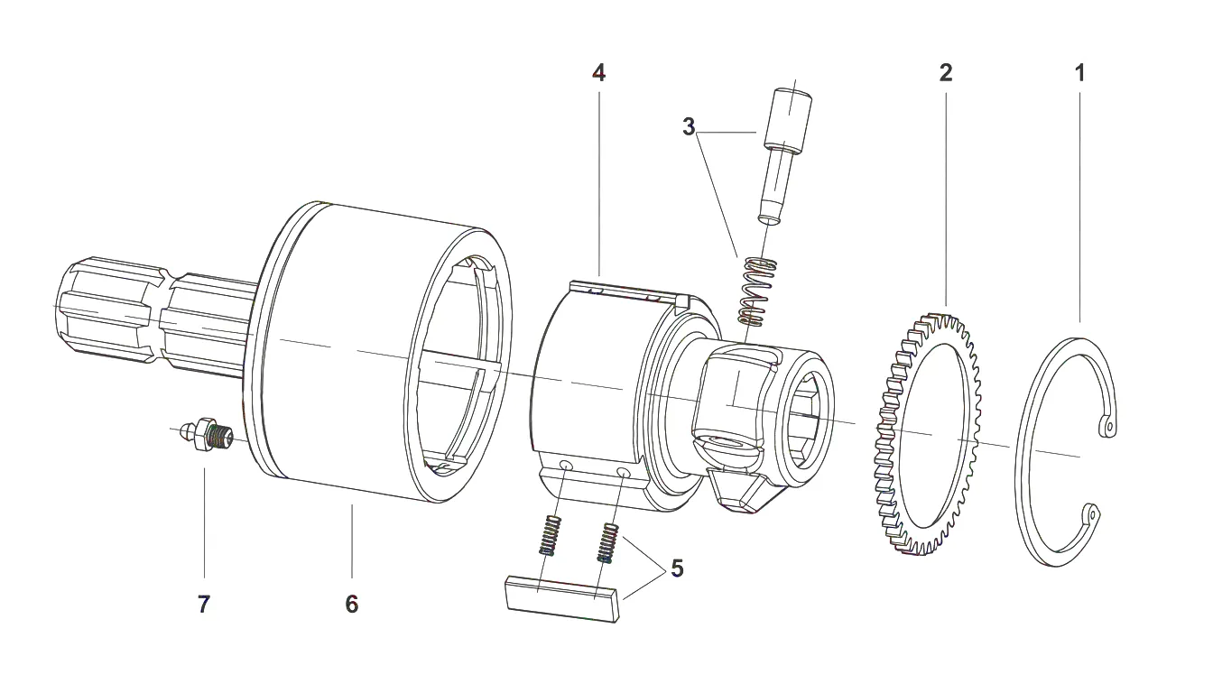 RAS Overrunning Clutch